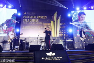 上海國際廣告獎圓滿落幕, 海上之花 花落各家